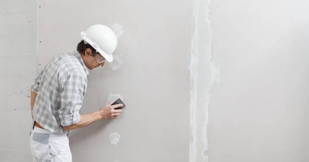 Reliable Pewee Valley, KY Mold Removal Solutions