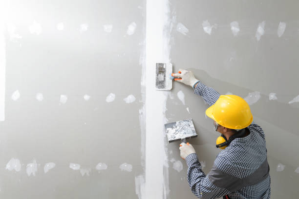 Best Environmental Consulting for Mold Prevention  in Pewee Valley, KY