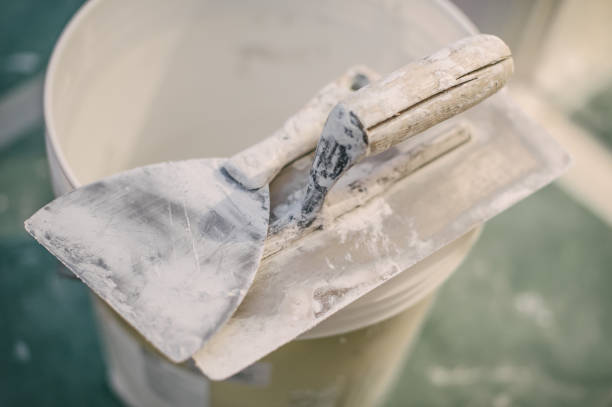 Best Asbestos and Lead Testing During Mold Inspection  in Pewee Valley, KY